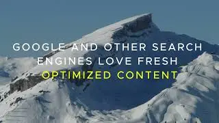 What Happens If You Optimize One Product's SEO Every Day?