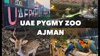 UAE Pygmy Zoo Ajman | Animal Petting Zoo | Ajman Zoo @shabstravel