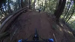 Crawfish DH MTB Oregon