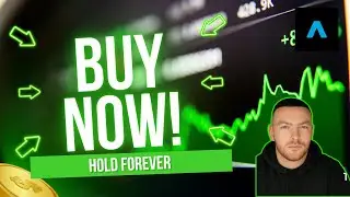These 3 Dividend Stocks Are No Brainers to Buy & Hold Forever!