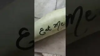 Eat Me If You Can #shorts #funny #viral