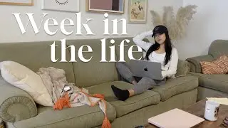 Week in my life UX Designer