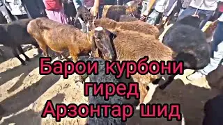 Мол бозори Уяли. Нархи молхои майда. Нархи молхо хеле хамбидай