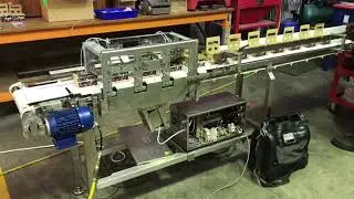 DNL Box Closing System for Cherry Tomatoes