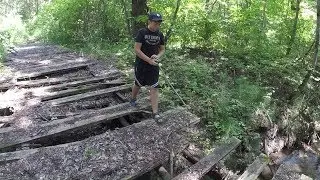 Страшная находка в лесу 2 /Труп исчез!/