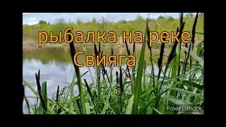 Рыбалка на фидер р. Свияга, г. Ульяновск подлещик, практически лещ.
