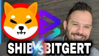Shiba Inu Coin | Is Bitgert BRISE Actually Comparable To 