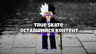 True skate! Его больше не будет!
