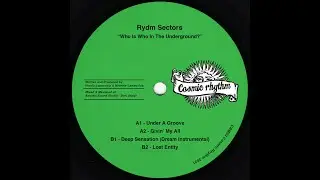 RYDM SECTORS - UNDER A GROOVE [COSMIC RHYTHM]