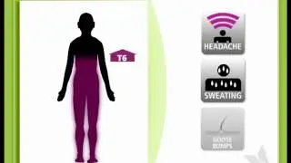 SCI & You 1.5-Physical Effects