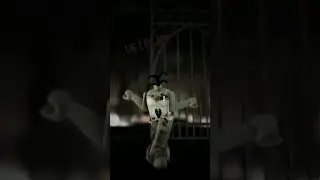 spooky scary skeletons