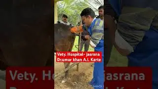 Artificial insemination l dr Umar khan