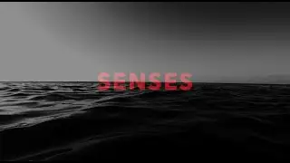 Isabella Gonzalez, Darren & Cashwell - SENSES