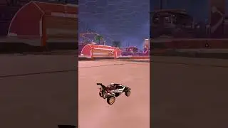 insane musty sidewall