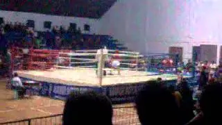 Tinju amatir kabupaten poso