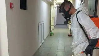 Обработка квартир от тараканов в Краснодаре 8-928-201-72-02