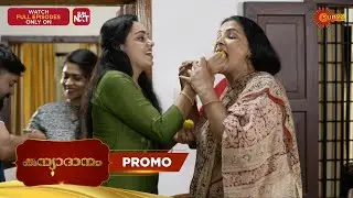 Kanyadanam - Promo | 23 Nov 2025 | Malayalam Serial | Surya TV