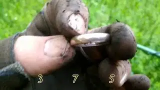 ЗОЛОТО и Кольцевик!!! Это был на 100% мой день!!!