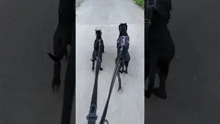 Папин сын🖤Щенок свободен🔥 