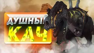 Душный кач WoW в 2024