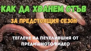 На лов за стъв+теглене на спечелилия от предишното видео
