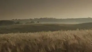 Chernigivske I love this land