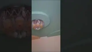 Хонаи фуруши 300ҳ сомон