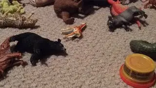 Live Steam (Animal Kingdom Battles)