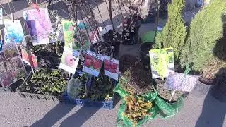 Поездка в село Петропавловка на рынок