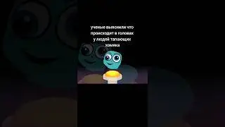 люди тапающие хомяка (ломка) анимация 