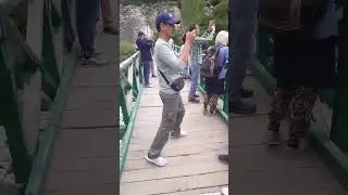 Отправить(1)