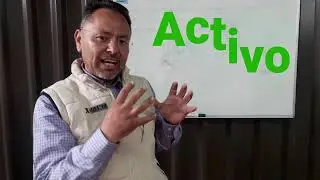 Diferencias entre Activo y Pasivo