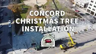 Christmas Tree Installation - Happy Holidays