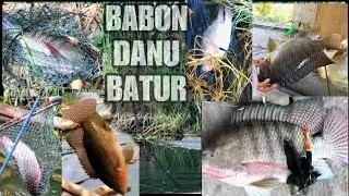 KUMPULAN STRIKE NILA BABON DANAU BATUR