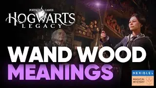 All Wand Meanings || Hogwarts Legacy Wand Wood Meaning