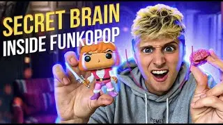 Do Funko Pops Really Have Brains Inside Their Heads?