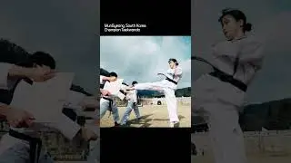 연속 뒤돌려차기 태권도 송판 격파 #taekwondo #태권도 #송판격파
