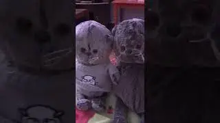 Untitled video
