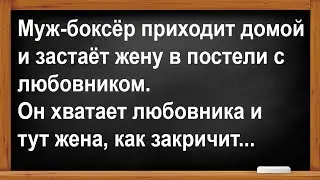 Муж застал жену в постели с любовником... Анекдоты! Юмор! Позитив!