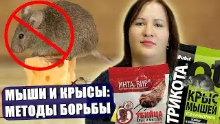 МЫШИ И КРЫСЫ В ДОМЕ И НА УЧАСТКЕ! Методы борьбы! Лучшие средства против мышей и крыс