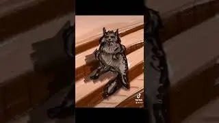 Кот, возможно, Бегемот