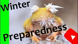 Cheryl Nelson's Family Winter Preparedness Tips