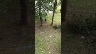 Посмотрите на Святых и сделайте выводы.