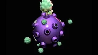 3DModel Pokemon - Koffing