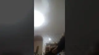 2 ноября 2023 г.