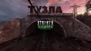 Stalker Anomaly GAMMA - Train of Consequences
