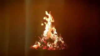 Огонь - это мудрость, сжигающая всякое невежество..