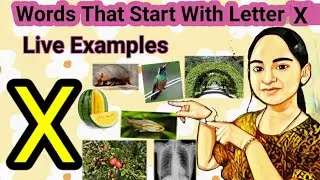 Letter X Words for kids/Writing X Letter /words start with letter X with Live Examples/ X Words .