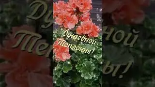26 марта 2023 г.
