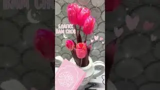Коран перед сном слушаем и получаем награду #quran #koran #islamicvideo #корандлядуши